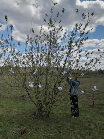 Акция &amp;quot;Голубь мира&amp;quot;.